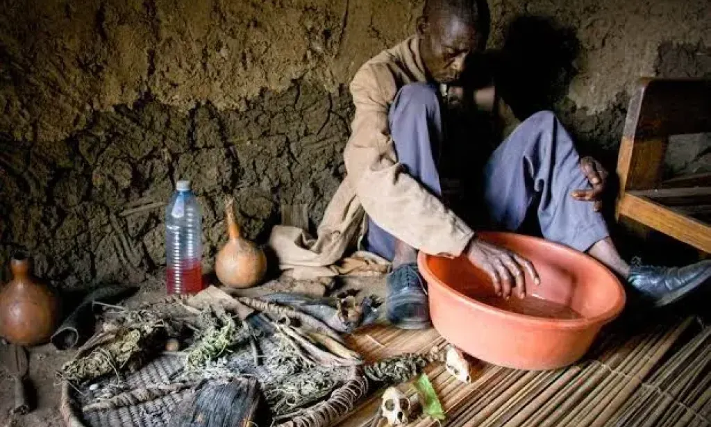 Medicina tradicional africana e ciência moderna: um diálogo necessário