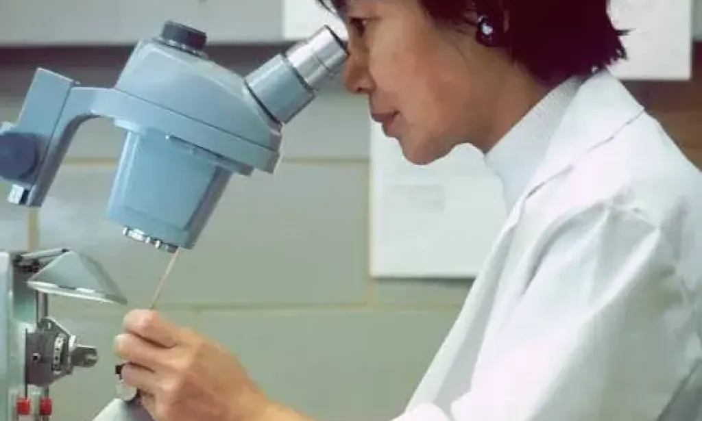 Ciência cidadã: como qualquer moçambicano pode contribuir para o conhecimento científico