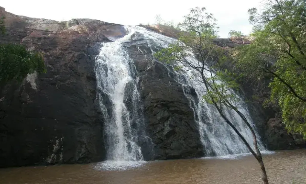 Turismo de natureza em Moçambique: oportunidades inexploradas