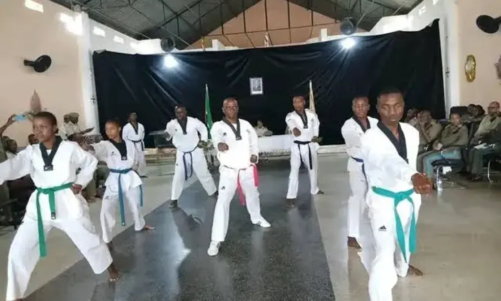 Artes marciais e desportos de combate crescem em Moçambique