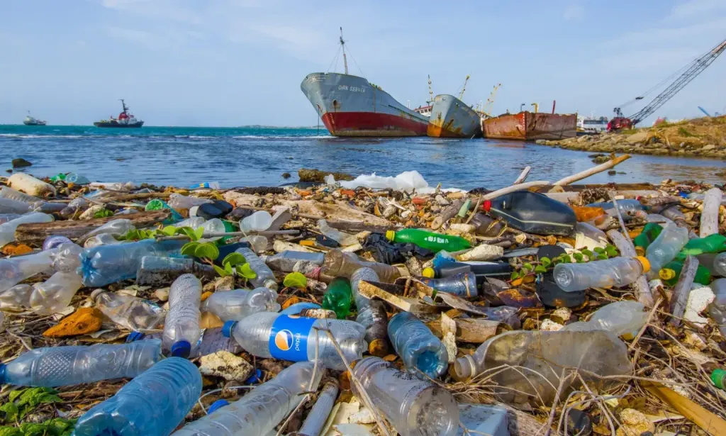 Plásticos nos oceanos: a crise silenciosa que ameaça as costas moçambicanas